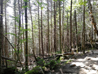 Travelling around Canada: Ontario and Quebec