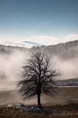 amazing winter landscape with fog and frosty trees in  Romania