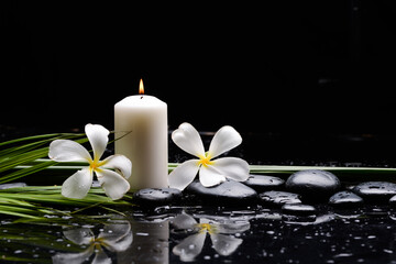spa still life of with two white frangipani with candle 
and zen black stones ,wet background
