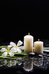 spa still life of with white frangipani with candle 
and zen black stones ,and green palm wet on background
