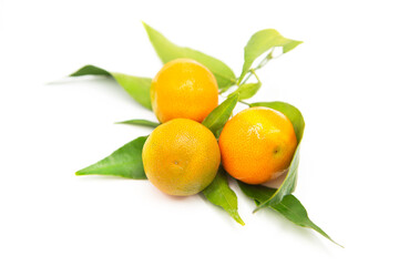 Ripe fresh organic tangerines on a branch with leaves isolated on white background.	