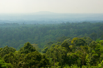 Fototapeta na wymiar beauty of green forest in north bengkulu , indonesia, asia travel
