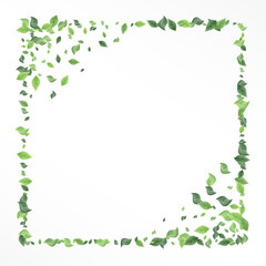 Lime Foliage Flying Vector White Background 