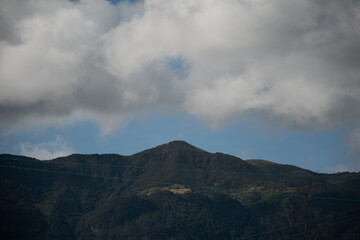 Animales y naturaleza en Cogua
