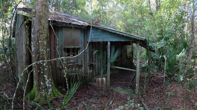 Old creepy Palmetto Cracker hunting cabin in Florida
