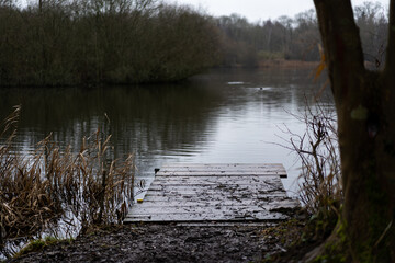 pier in a lake in the woods