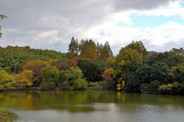 池の周囲が紅葉し、上空が大きな雲に覆われた風景