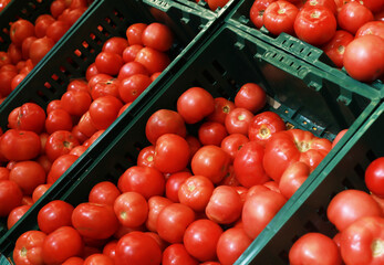 Ripe tasty red tomatoes at baazar.
