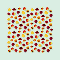 Modern floral seamless pattern with petals of pansy flowers, small summer flowery seasonal styling greeting card.