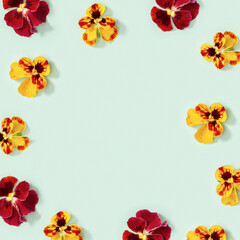 Fototapeta premium Modern floral frame with yellow and red pansy flowers, small summer flat lay flowery seasonal styling