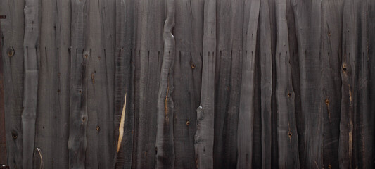 Fototapeta premium tree texture