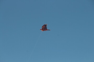 Fototapeta na wymiar Handmade kite in the sky