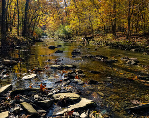 fall by the creek
