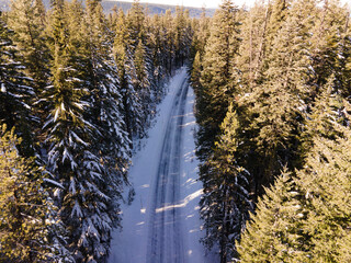 Snow-covered Road in the forest, shot in Jackson County, OR.