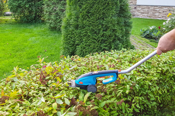 Male hands are cutting bushes with garden tool. Gardener with trimer for pruning branches in garden.