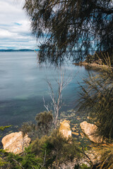 rugged coastal landscape in South Hobart in Tasmania, Australia