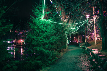christmas tree lights in the park