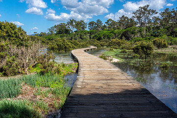 Boardwalk Snaking