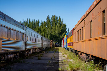 Fototapeta premium Old abandoned trains at a depot