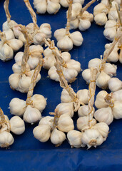 Bunch of garlic bulbs at the bazaar