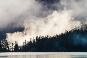 Beautiful silhouettes of pointy tree tops on hillside along mountain lake in dense fog. Pines above calm water of highland lake. Alpine tranquil landscape at early morning. Ghostly atmospheric scenery