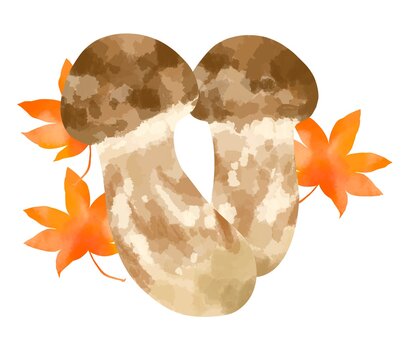 526 件の最適な 松茸のイラスト 画像 ストック写真 ベクター Adobe Stock 526 件の最適な 松茸のイラスト 画像 ストック写真 ベクター Adobe Stock