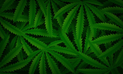 Cannabis plant green background. Vector illustration