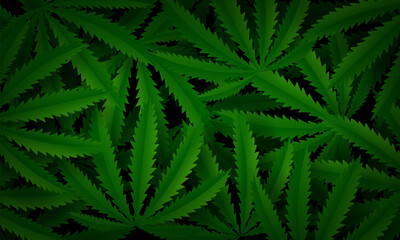 Marijuana or Cannabis Leaf background