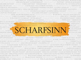 Scharfsinn