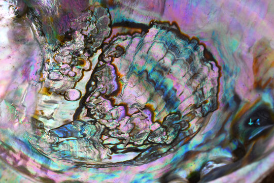 An abstract image of the rainbow color patterns of an abalone seashell.