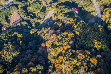 紅葉の中を優雅に飛ぶパラグライダー。和歌山県紀の川市寺山スカイスポーツ
