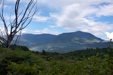 Mountain landscape with a small rainbow against the bright blue sky with clouds, on the left stands a dried-up tree, used as a background or texture