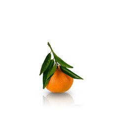 Tangerine or clementine with green leaf isolated with reflection on white background