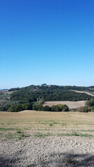 Fototapeta premium Plowed land for sowing in Tuscany, Italy