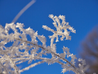 Stunning frozen icicles waterfall on a rocky mountain cliff on a winter day. The winter cascade is frozen in numerous white icicles. Waterfall falling past hundreds of icicles fantastic winter landsca