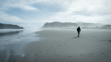 A backpacker walking on the sandy beach leaving the footprints, Wharariki Beach, South Island, New Zealand