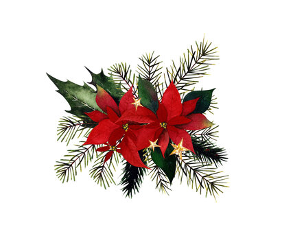Watercolor christmas bouquet with poinsettia flowers, leaves, pine branches on white background.