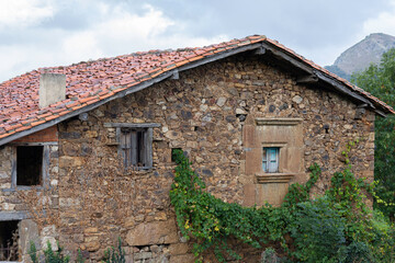 Fototapeta na wymiar old stone house with a creeper