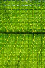 natural green background: blurred wide leaf with veins, visible through curly glass