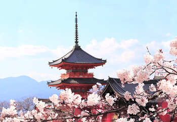 Ancient pavilion and blooming sakura in Fushimi Inari shrine, Kyoto, Japan