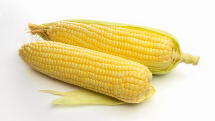 Fresh ear of corns isolated on white background