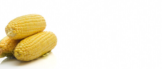 Fresh ear of corns isolated on white background with copy space