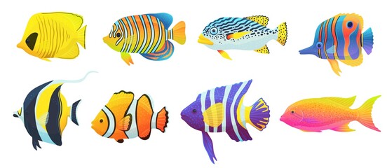 Fototapeta premium Set of colorful tropical exotic caribbean fish a vector isolated illustrations