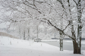 Winter landscape: a walk with the whole family in a winter park.