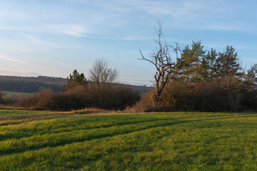 Obraz premium Landschaft im Herbst