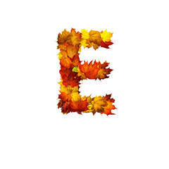 Colorful autumn leaves isolated on white background as letter E.