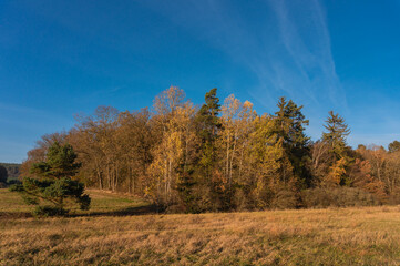 Fototapeta premium Landschaft im Herbst