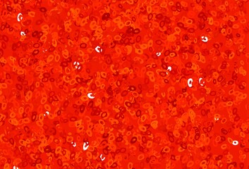 Light Orange vector backdrop with dots.