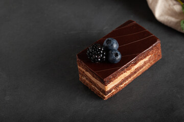 Homemade chocolate cake with blackberry. Piece of Zacher or cake.