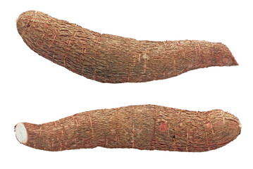 Cassava root isolated on white background